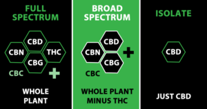 What-is-the-Difference-Between-Broad-and-Full-Spectrum-CBD-Featured