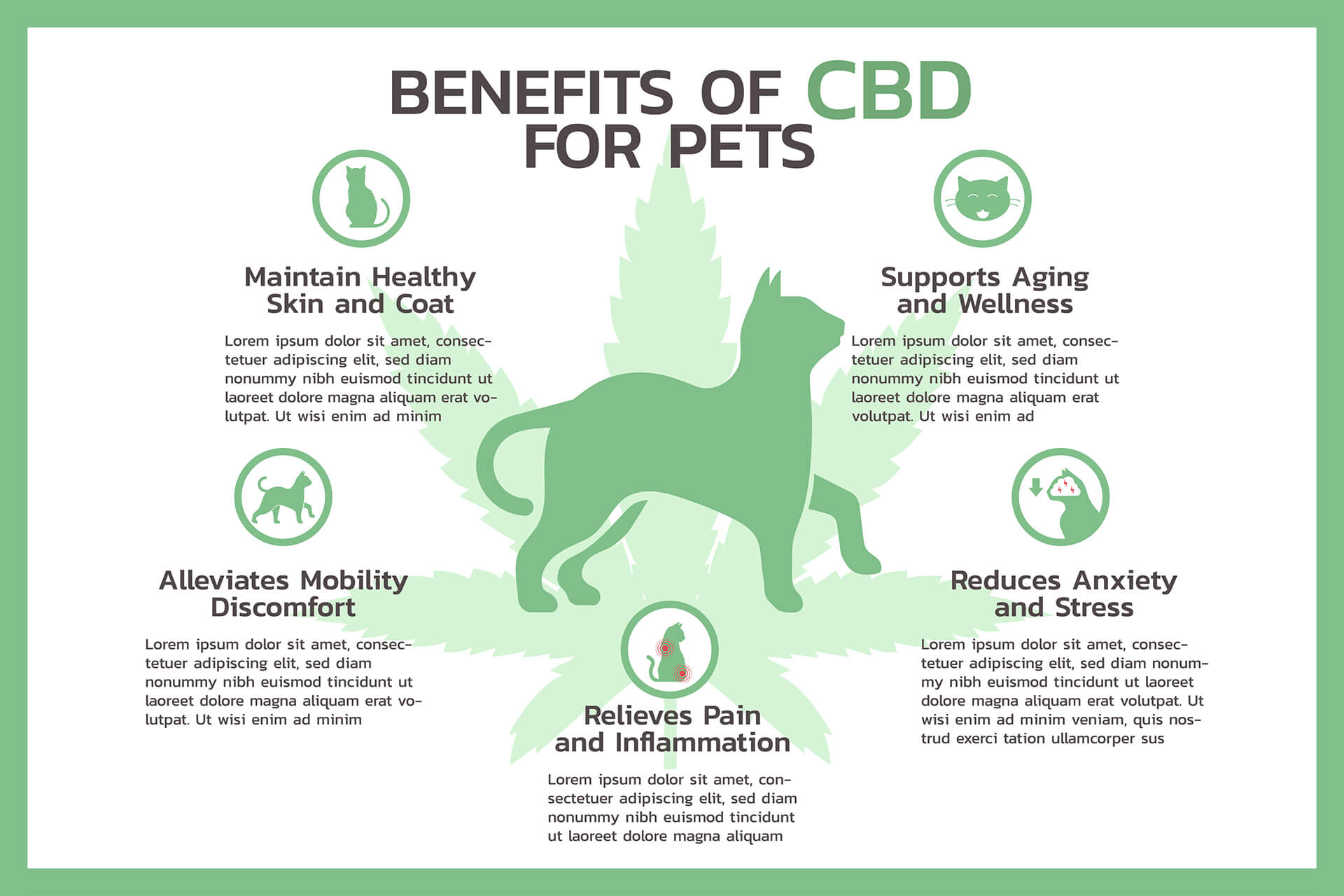 Benefits-of-CBD-For-Dog-CBDBotanicalTherapy