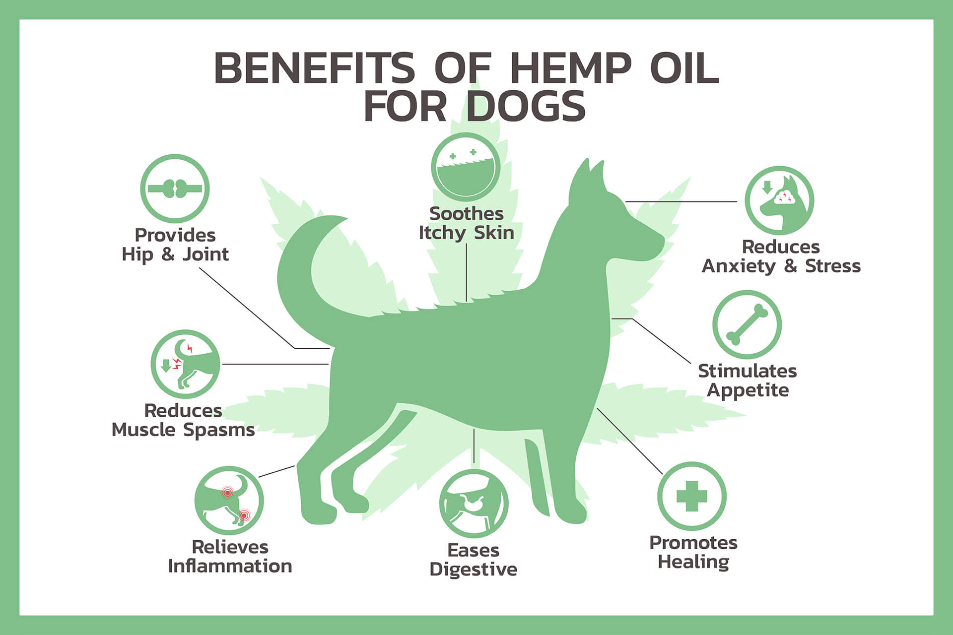 Shop By Benefit – Pets - CBD Botanical Therapy